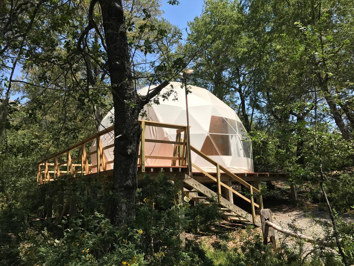 Glamping Domos Treepod 호텔 라스 트란카스 외부 사진